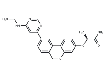 XJTU-L453