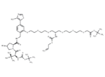 E3 Ligase Ligand-linker Conjugate 116