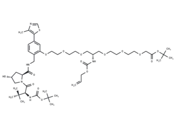 E3 Ligase Ligand-linker Conjugate 116