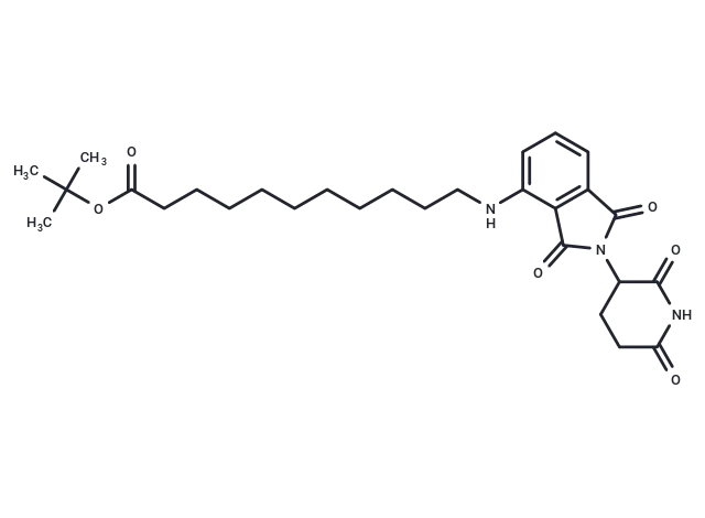 Thalidomide-NH-C10-Boc CgoaEWciWRqER6dwAAAAAL2kAvM796- Immunomart