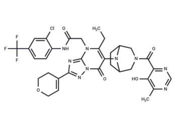 WRN inhibitor 12