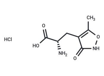 (S)-AMPA HCl - Small Compound - Immunomart