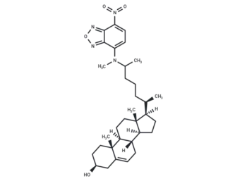 25-NBD Cholesterol