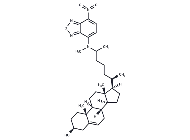 25-NBD Cholesterol