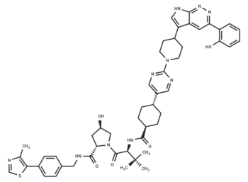 PROTAC SMARCA2 degrader-19