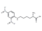 epsilon-Dinitrophenyllysine