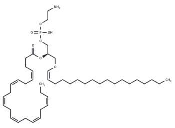 1-1(Z)-Octadecenyl-2-docosahexaenoyl-sn-glycero-3-PE