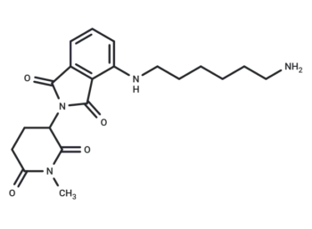 N-Me-Thalidomide-NH-C6-NH2