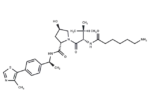 6-Aminocaproic acid-(S