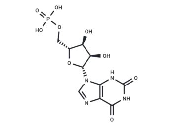 Xanthosine-5'-monophosphate