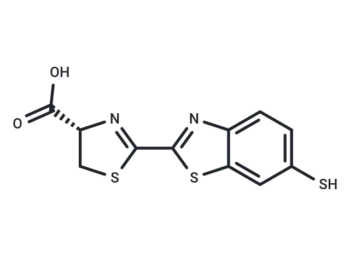 Thioluciferin