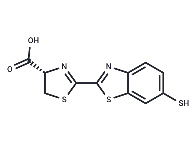 Thioluciferin