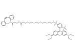 Sulforhodamine-PEG4-DBCO