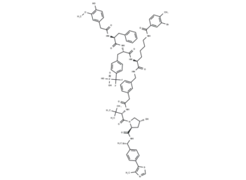 DU-14 (PTP1B/TC-PTP PROTAC)