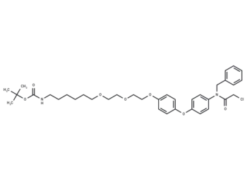 CCW16-PEG2-butyl-BocNH