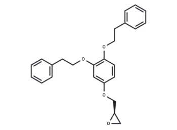 p62-ZZ ligand 1