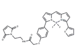 BODIPY TR Maleimide 1 BODIPY TR Maleimide