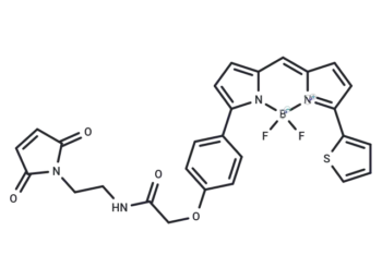 BODIPY TR Maleimide