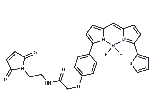 BODIPY TR Maleimide CgoaEWg4ijWES CMAAAAAJ3Lfzk392- Immunomart