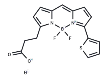 BODIPY558/568 carboxylic acid