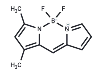 1,3-Dimethyl-BODIPY