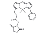 BODIPY R6G NHS ester