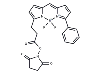 BODIPY R6G NHS ester