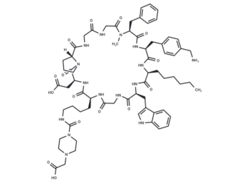 FAP targeting peptide for FXX489