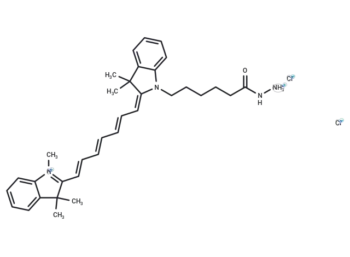 Cy7 hydrazide