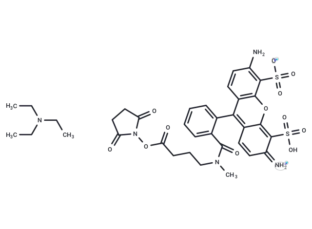 ATTO 488 NHS ester TEA