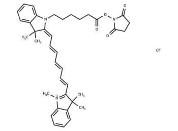 Cy7 SE (nosulfo)