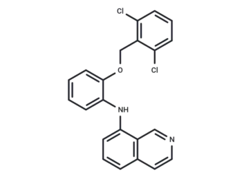 WYFA-15