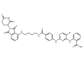 PROTAC JNK1-targeted-1