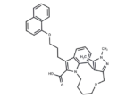 (+)-Mcl-1 inhibitor 21