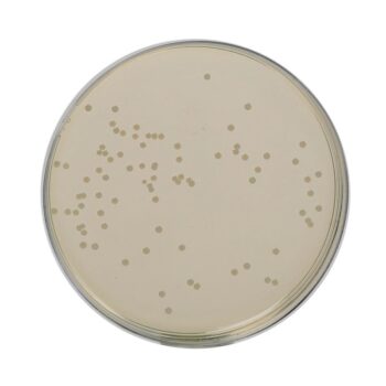 HiMedia GM001 - distributed by Immunomart