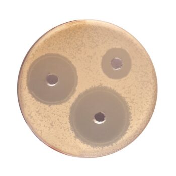 HiMedia GM004 - distributed by Immunomart