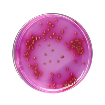 HiMedia GM029 - distributed by Immunomart