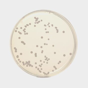 HiMedia GM063 - distributed by Immunomart