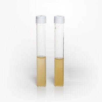 HiMedia GM1719 - distributed by Immunomart