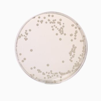 HiMedia GM639I - distributed by Immunomart