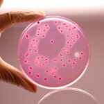 HiMedia M581 - distributed by Immunomart