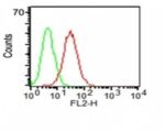 CD34(ICO-115), CF594 conjugate, 0.1mg/mL