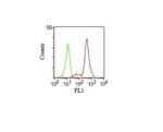 CD11c(HC1/1), 1mg/mL