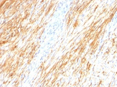 BNUB0789 0 1- Immunomart