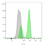 CD3e(CRIS-7), 0.2mg/mL