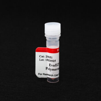 EvaEZ™ Fluorometric DNA Polymerase Activity Assay (200 rxn)