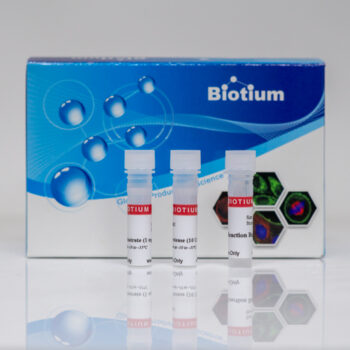 TEV Protease Kit, 10,000 U