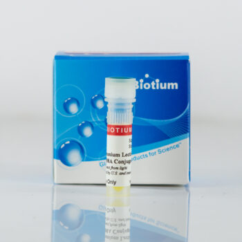 Datura Stramonium Lectin (DSL), Biotin Conjugate