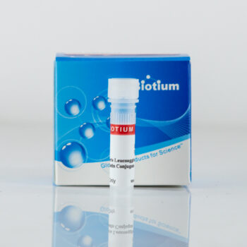 Phaseolus Vulgaris Leucoagglutinin (PHA-L), CF®568 Conjugate