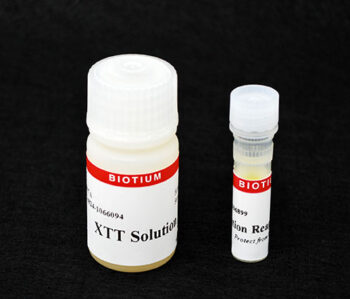 XTT Cell Viability Assay Kit (1000 Assays)